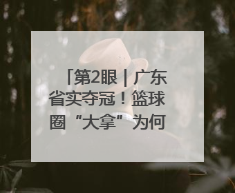 第2眼｜广东省实夺冠！篮球圈“大拿”为何都去看一场中学生比赛？