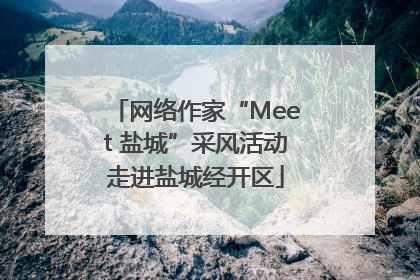 网络作家“Meet 盐城”采风活动走进盐城经开区