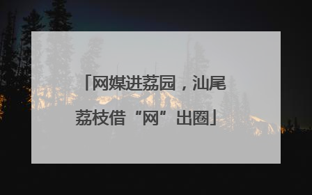 网媒进荔园，汕尾荔枝借“网”出圈
