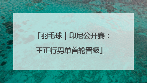 羽毛球｜印尼公开赛：王正行男单首轮晋级