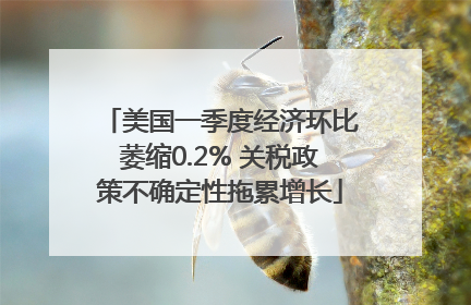 美国一季度经济环比萎缩0.2% 关税政策不确定性拖累增长
