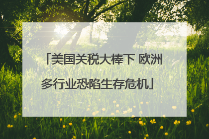 美国关税大棒下 欧洲多行业恐陷生存危机