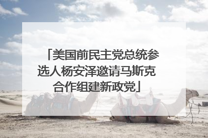 美国前民主党总统参选人杨安泽邀请马斯克合作组建新政党