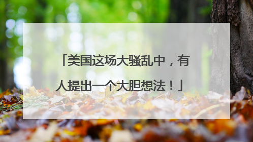 美国这场大骚乱中，有人提出一个大胆想法！