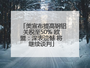 美宣布提高钢铝关税至50% 欧盟：深表遗憾 将继续谈判
