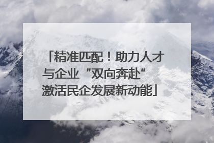 精准匹配！助力人才与企业“双向奔赴” 激活民企发展新动能