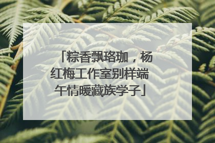 粽香飘珞珈，杨红梅工作室别样端午情暖藏族学子