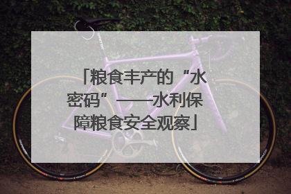 粮食丰产的“水密码”——水利保障粮食安全观察
