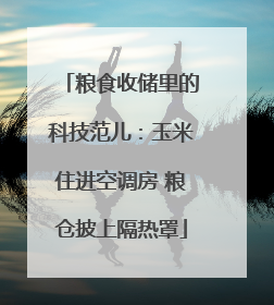粮食收储里的科技范儿：玉米住进空调房 粮仓披上隔热罩