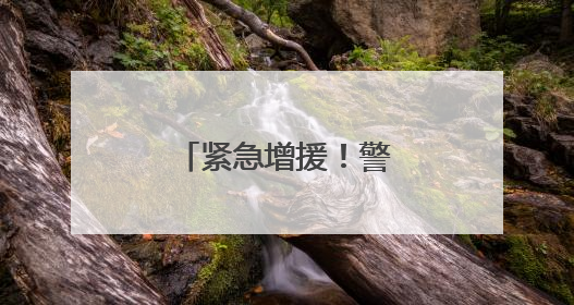 紧急增援！警犬“天狼”出动找到走失老人
