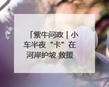 紫牛问政｜小车半夜“卡”在河岸护坡 救援人员操作不当致小车翻下河，然后直接走人了
