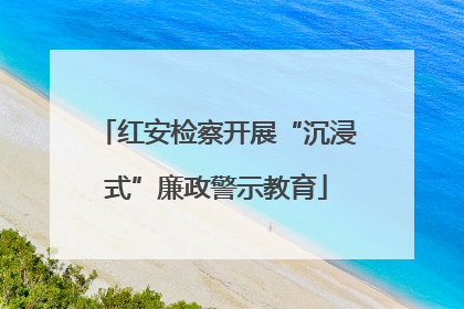 红安检察开展“沉浸式”廉政警示教育