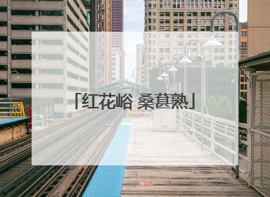 红花峪 桑葚熟