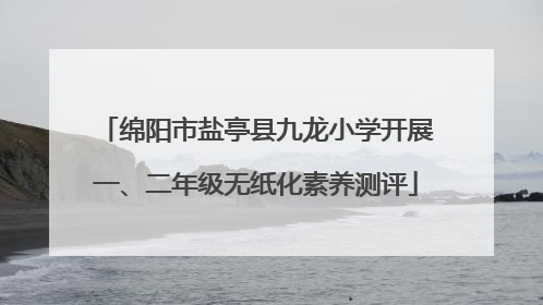 绵阳市盐亭县九龙小学开展一、二年级无纸化素养测评
