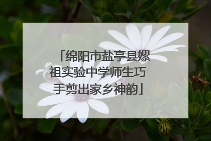 绵阳市盐亭县嫘祖实验中学师生巧手剪出家乡神韵