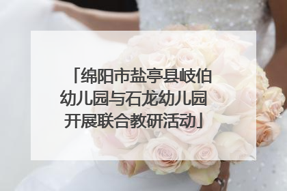 绵阳市盐亭县岐伯幼儿园与石龙幼儿园开展联合教研活动