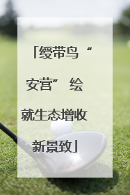 绶带鸟“安营” 绘就生态增收新景致