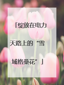 绽放在电力天路上的“雪域格桑花”