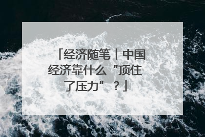 经济随笔丨中国经济靠什么“顶住了压力”？