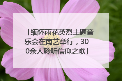 缅怀雨花英烈主题音乐会在南艺举行，300余人聆听信仰之歌