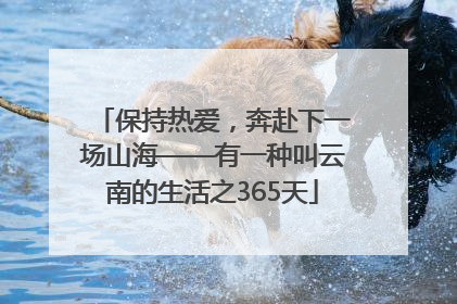 保持热爱，奔赴下一场山海——有一种叫云南的生活之365天