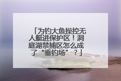 为钓大鱼操控无人艇进保护区！洞庭湖禁捕区怎么成了“垂钓场”？