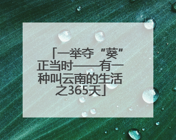 一举夺“葵”正当时——有一种叫云南的生活之365天