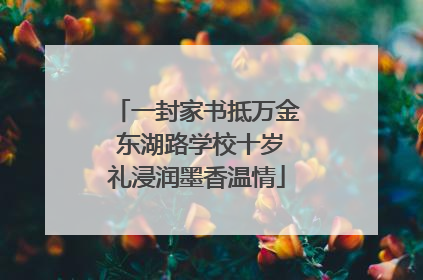 一封家书抵万金 东湖路学校十岁礼浸润墨香温情