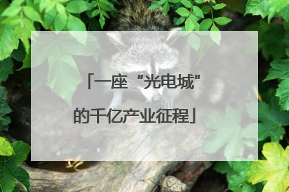 一座“光电城”的千亿产业征程