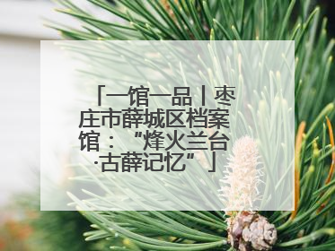 一馆一品丨枣庄市薛城区档案馆：“烽火兰台·古薛记忆”