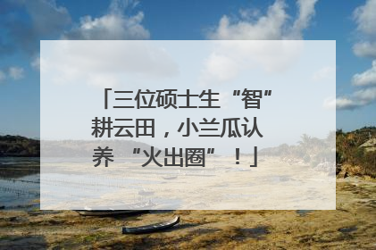 三位硕士生“智” 耕云田，小兰瓜认养 “火出圈”！