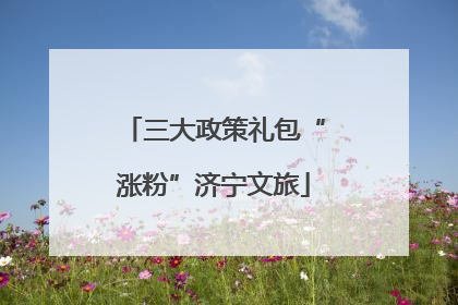 三大政策礼包“涨粉”济宁文旅
