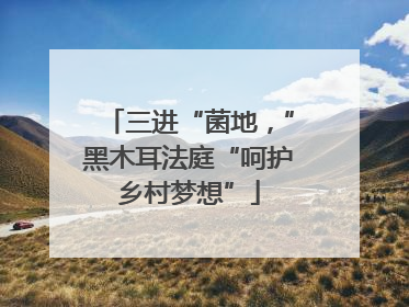 三进“菌地，”黑木耳法庭“呵护乡村梦想”