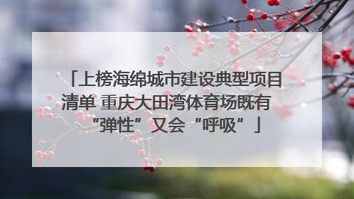 上榜海绵城市建设典型项目清单 重庆大田湾体育场既有“弹性”又会“呼吸”