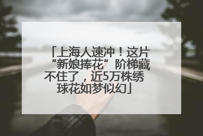 上海人速冲！这片“新娘捧花”阶梯藏不住了，近5万株绣球花如梦似幻