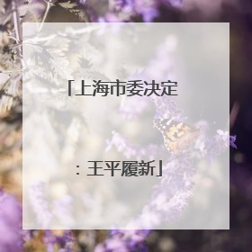 上海市委决定：王平履新