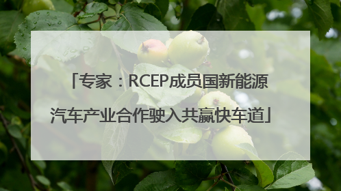 专家：RCEP成员国新能源汽车产业合作驶入共赢快车道