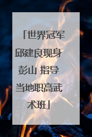 世界冠军邱建良现身彭山 指导当地职高武术班