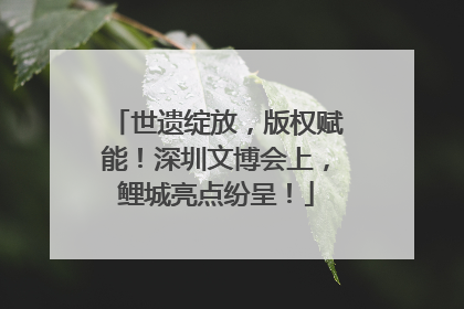 世遗绽放，版权赋能！深圳文博会上，鲤城亮点纷呈！