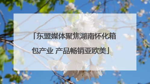 东盟媒体聚焦湖南怀化箱包产业 产品畅销亚欧美