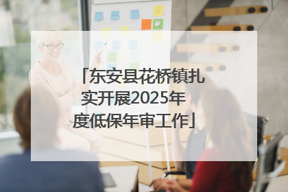 东安县花桥镇扎实开展2025年度低保年审工作