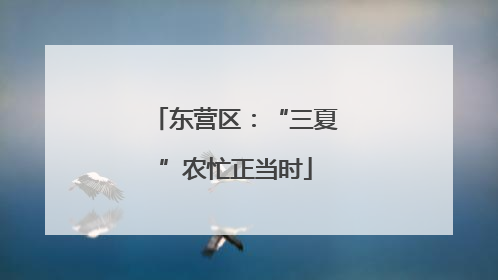东营区：“三夏”农忙正当时