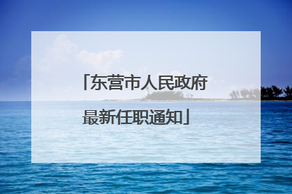 东营市人民政府最新任职通知