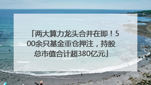 两大算力龙头合并在即！500余只基金重仓押注，持股总市值合计超380亿元