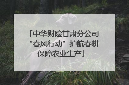 中华财险甘肃分公司“春风行动”护航春耕 保障农业生产