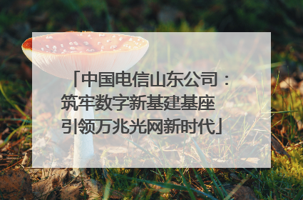 中国电信山东公司：筑牢数字新基建基座 引领万兆光网新时代