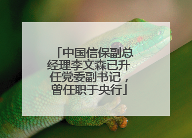 中国信保副总经理李文森已升任党委副书记，曾任职于央行