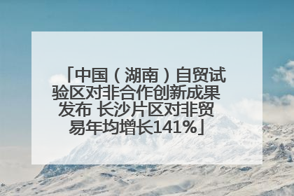 中国（湖南）自贸试验区对非合作创新成果发布 长沙片区对非贸易年均增长141%