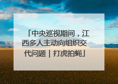 中央巡视期间，江西多人主动向组织交代问题｜打虎拍蝇