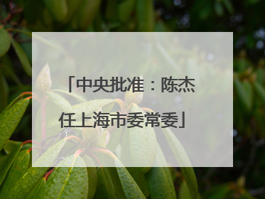 中央批准：陈杰任上海市委常委
